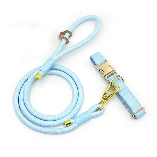 Ensemble Collier en cuir durable personnalisable, laisse et distributeur de sac pour chien - Collier + laisse / XS