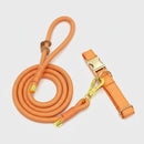 Ensemble Collier en cuir durable personnalisable, laisse et distributeur de sac pour chien - Collier + laisse / XS