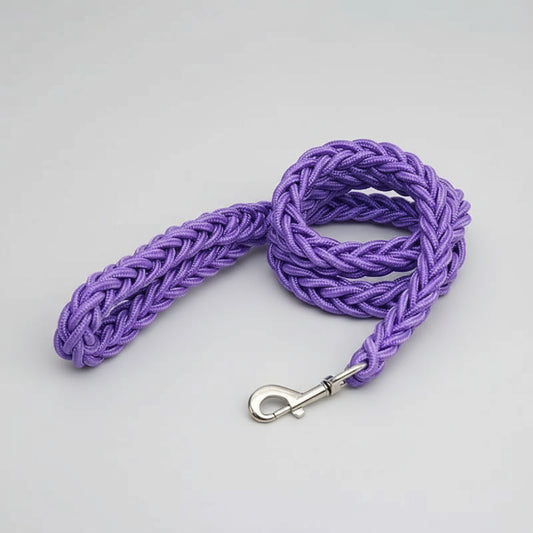 Laisse résistante en nylon de 1,3 m pour chien Oscar et Plume Violet / Diamètre 1.5 cm