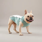T-shirt fin avec bande réfléchissante pour chien Oscar et Plume Vert / XS