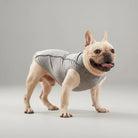 T-shirt fin avec bande réfléchissante pour chien Oscar et Plume Gris clair / XS