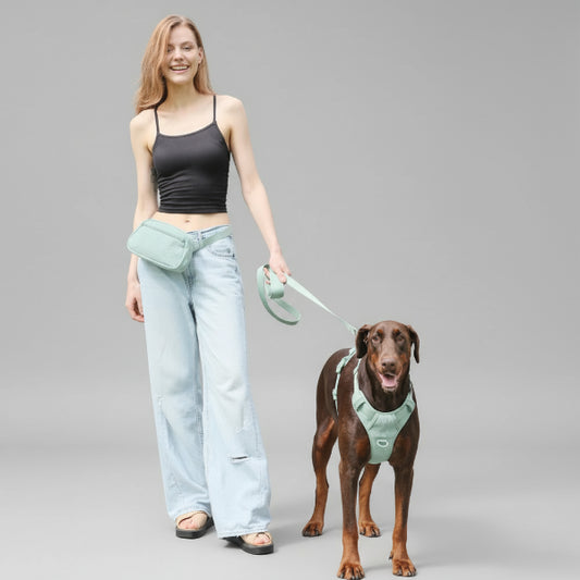 Harnais ou Ensemble personnalisable en velours pour chien - Oscar et Plume