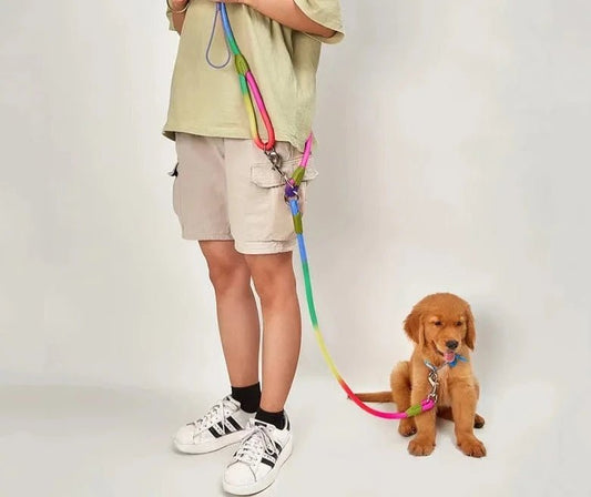 Laisse en Nylon réfléchissante pour Chien Oscar et Plume Noir