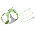 Harnais + Laisse pour chien Oscar et Plume Vert / S