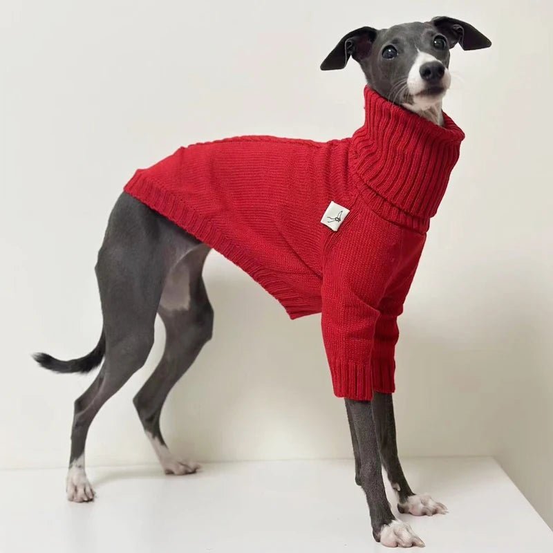 Greyhound Turtleneck Sweater – Oscar et Plume - Main Image