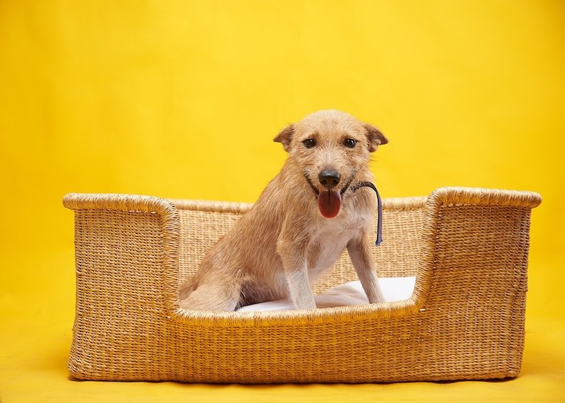 Panier artisanal Africain pour chien - Oscar et Plume