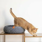 Panier chat en coton recyclé gris sur une table avec un chat explorant un vase décoratif
