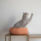 Un chat gris jouant près d'un vase, dans un panier chat en coton recyclé sur une table moderne