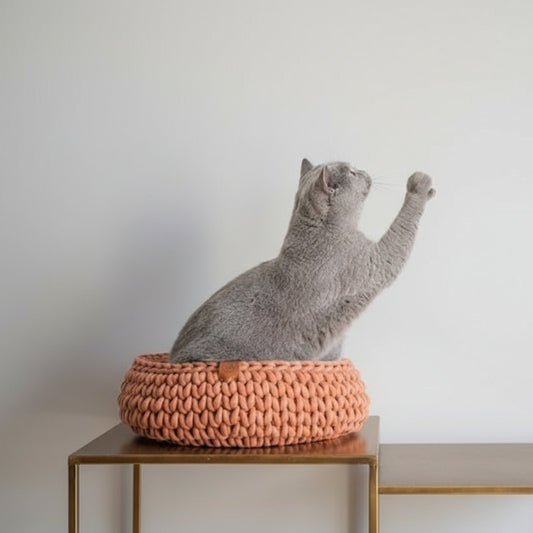 Un chat gris jouant près d'un vase, dans un panier chat en coton recyclé sur une table moderne