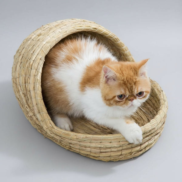 Chat blanc et roux dans un panier chat rotin naturel au design arrondi sur un sol carrelé