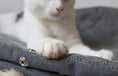 Charger l'image dans la visionneuse de la galerie, Pied de chat blanc sur panier chat velours gris confortable de la marque Oscar et Plume
