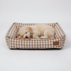 Chien dormant paisiblement dans un panier déhoussable pour chien à motif vichy beige