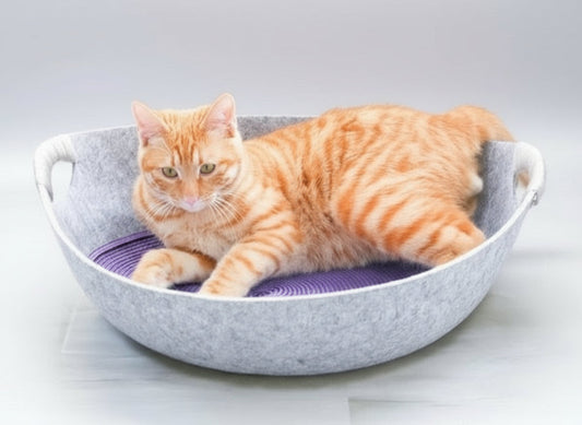 Chat roux allongé dans un panier feutre lavable pour chat gris avec poignées