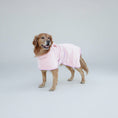 Charger l'image dans la visionneuse de la galerie, Golden retriever portant un peignoir chien absorbant rose à capuche en microfibre de la marque Oscar et Plume
