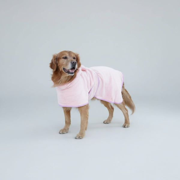 Golden retriever portant un peignoir chien absorbant rose à capuche en microfibre de la marque Oscar et Plume