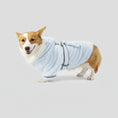 Carica l'immagine nel visualizzatore della galleria, Peignoir chien avec ceinture bleu clair pour un look confortable et élégant
