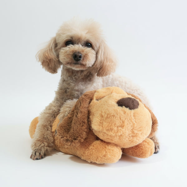 Chien mignon posant sur une peluche apaisante pour chien de Warm Xiaowo Specialty Store