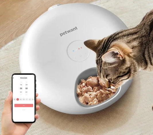 Distributeur automatique nourriture chat Petwant blanc avec application mobile et chat mangeant