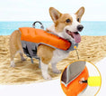 Carica l'immagine nel visualizzatore della galleria, Chien portant un gilet de sauvetage pour chien orange flottant sur la plage au bord de la mer
