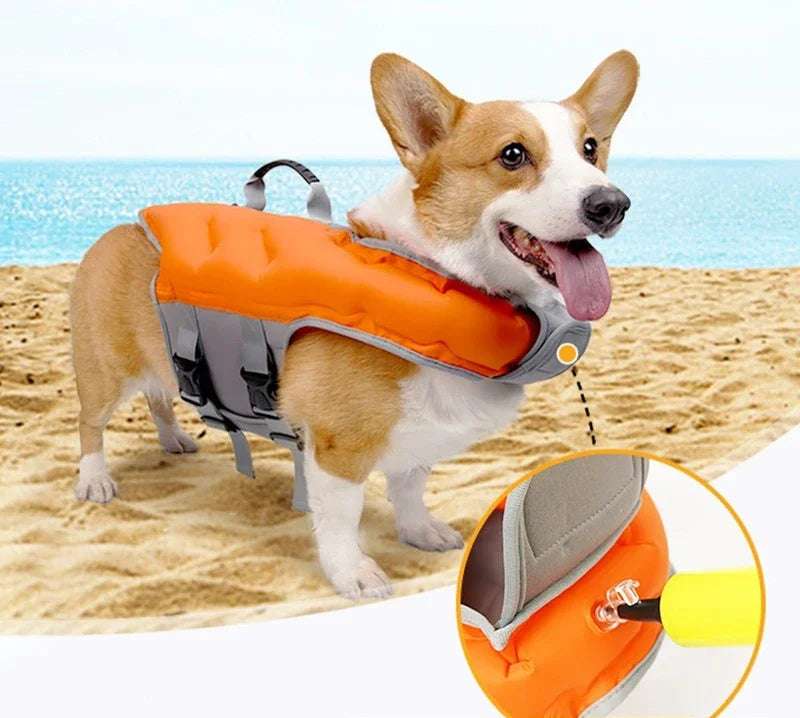 Chien portant un gilet de sauvetage pour chien orange flottant sur la plage au bord de la mer