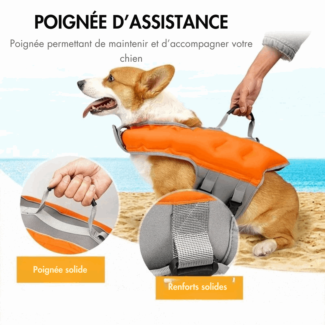 Gilet de sauvetage pour chien orange avec poignée d'assistance solide et renforts solides sur la plage