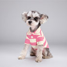 Polo rayures pour petit chien en rose et crème avec un col élégant pour un look chic