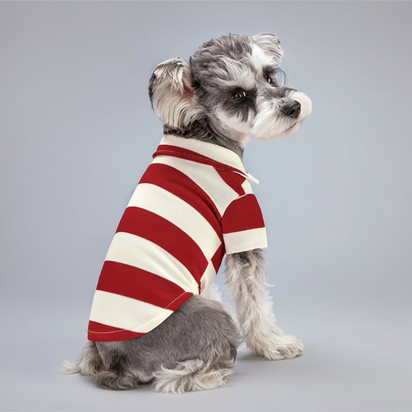 Polo rayures pour petit chien en rouge et crème, parfait pour les promenades élégantes