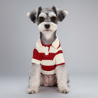 Polo rayures pour petit chien de Oscar et Plume, élégant et confortable pour les aventures quotidiennes