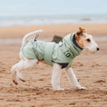 Charger et lire la vidéo dans la visionneuse de la galerie, Manteau Imperméable Pour Chien Avec Bande Réfléchissante
