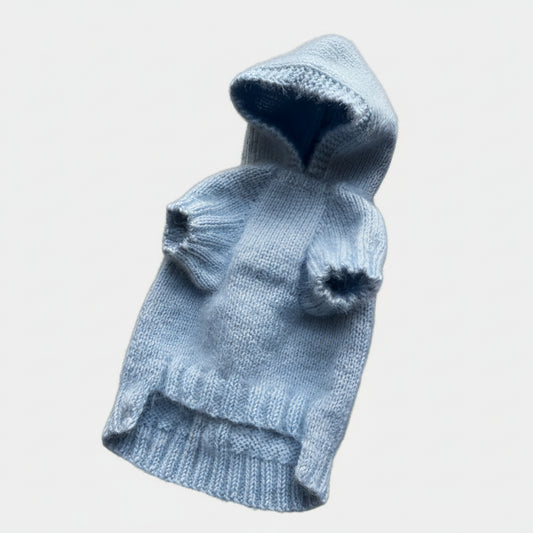 Pull capuche pour chien en laine bleu clair avec poches et manches courtes