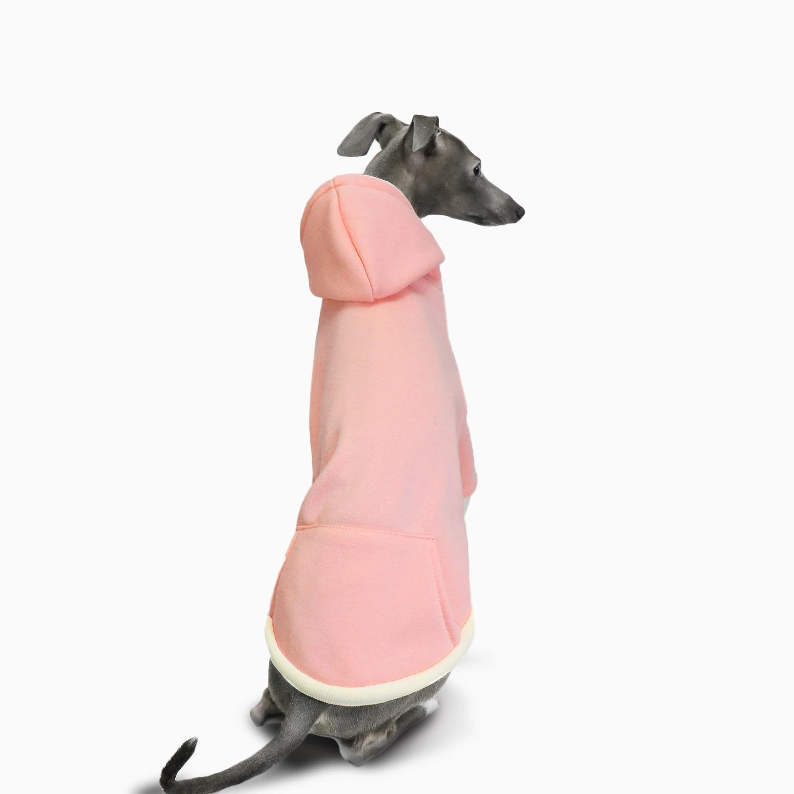 Pull capuche pour lévrier en tissu rose doux porté par un lévrier assis vu de dos