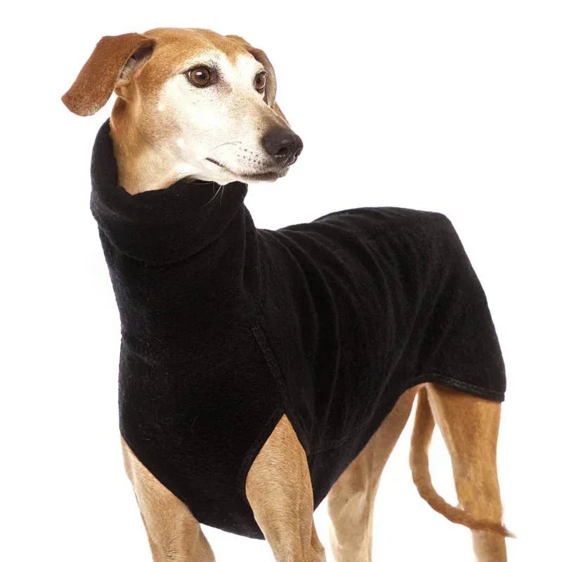 Pull chaud à col haut pour chien Oscar et Plume Noir / S