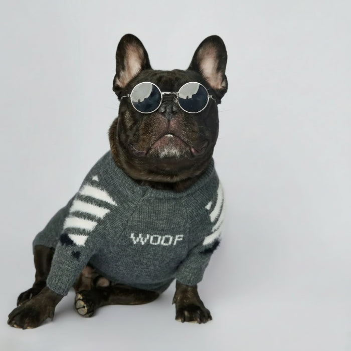 Pull chaud pour chien en gris avec motif rayé idéal pour garder votre animal au chaud