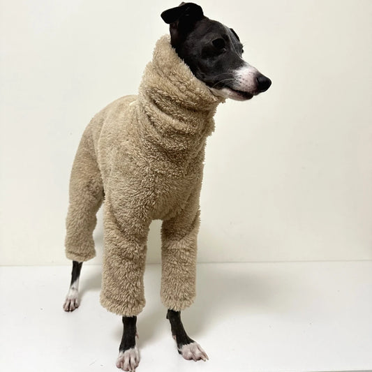 Pull chaud pour lévrier en tissu peluche beige confortable et couvrant pour chien élégant