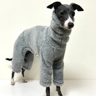 Pull chaud pour lévrier gris en tissu pelucheux couvrant tout le corps du chien
