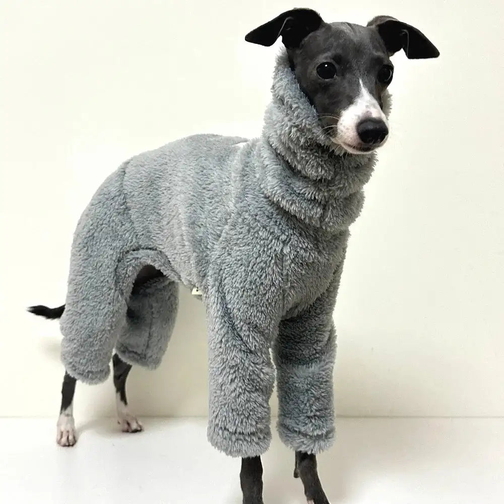 Pull chaud pour lévrier gris en tissu pelucheux couvrant tout le corps du chien