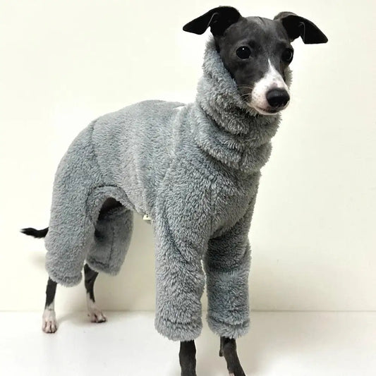 Pull chaud pour lévrier gris en tissu pelucheux couvrant tout le corps du chien