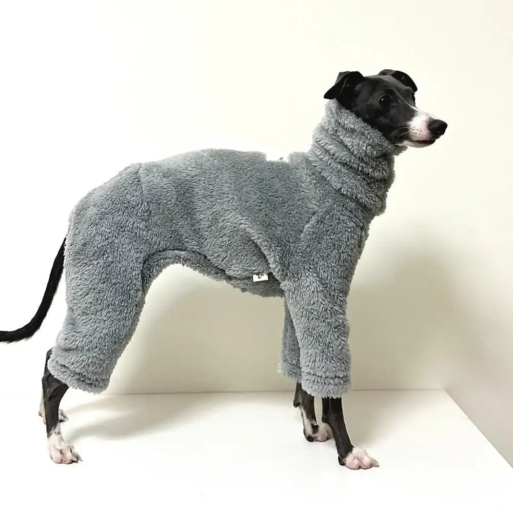 Lévrier portant un pull chaud pour lévrier gris en tissu doux et confortable signé Oscar et Plume