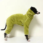 Pull chaud pour lévrier en tissu pelucheux vert porté par un chien lévrier noir et blanc