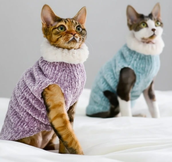 Pull col roulé pour chat en peluche rose et bleu pour garder votre animal au chaud pendant l'hiver