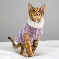 Load image into Gallery viewer, Pull col roulé pour chat en velours violet avec col en fausse fourrure pour un look élégant
