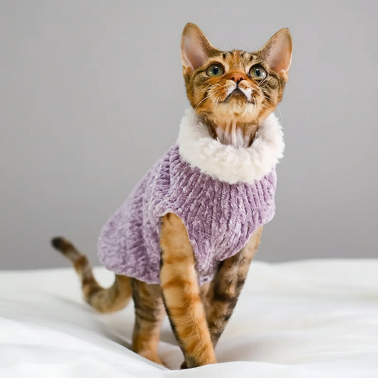 Pull col roulé pour chat en velours violet avec col en fausse fourrure pour un look élégant