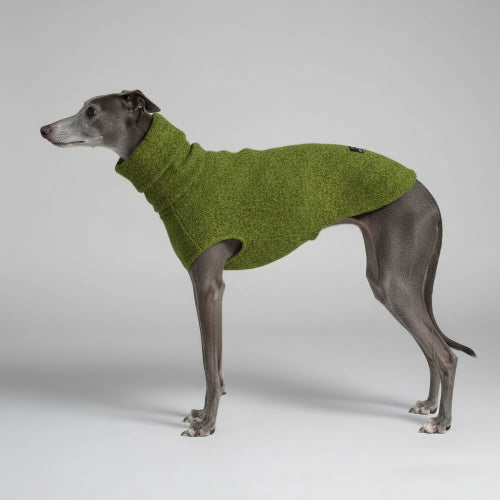 Pull col roulé pour lévrier vert en laine, parfait pour les promenades en extérieur