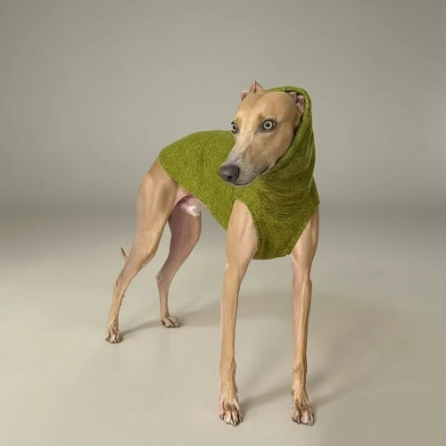 Pull col roulé pour lévrier en vert pour un look élégant et confortable pour votre chien