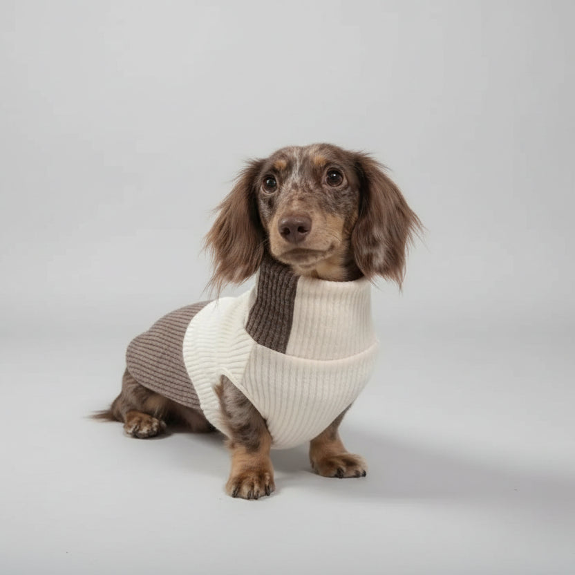Pull col roulé pour teckel en tricot beige et marron pour garder votre chien au chaud