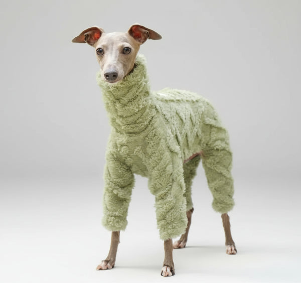 Oscar et Plume pull col roulé whippet vert mousse en laine douce porté par un whippet dans un jardin