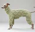 Charger l'image dans la visionneuse de la galerie, pull col roulé whippet Oscar et Plume vert mousse en peluche douce combinaison chaude pour whippet
