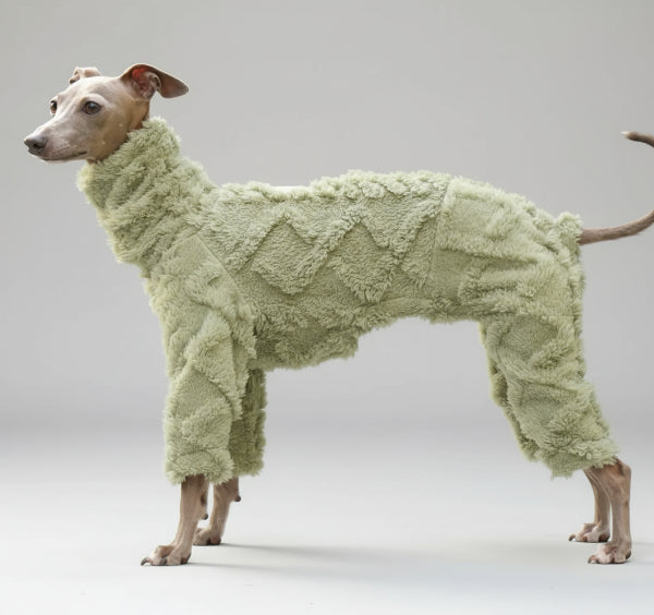 pull col roulé whippet Oscar et Plume vert mousse en peluche douce combinaison chaude pour whippet