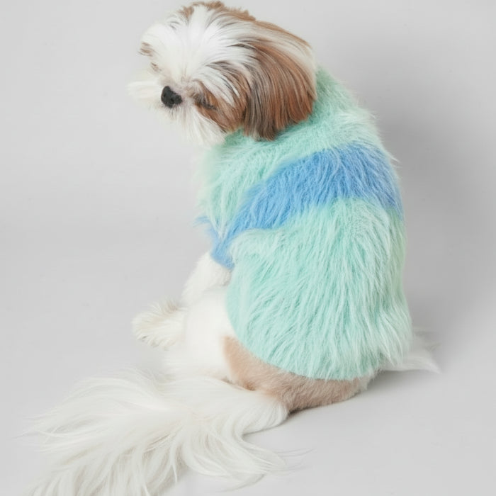 Pull coton doux pour chien en peluche bleu et vert pour le confort de votre animal