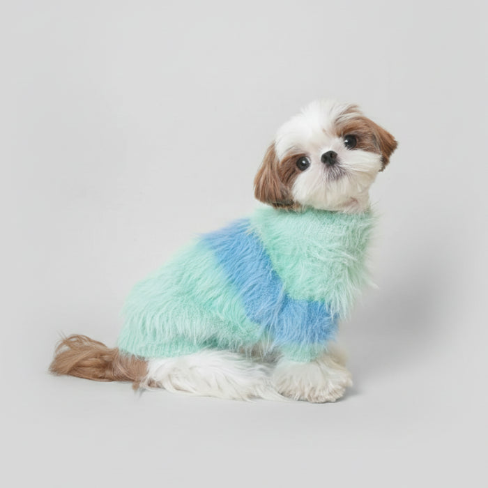 Pull coton doux pour chien en vert et bleu pour garder votre animal au chaud et élégant